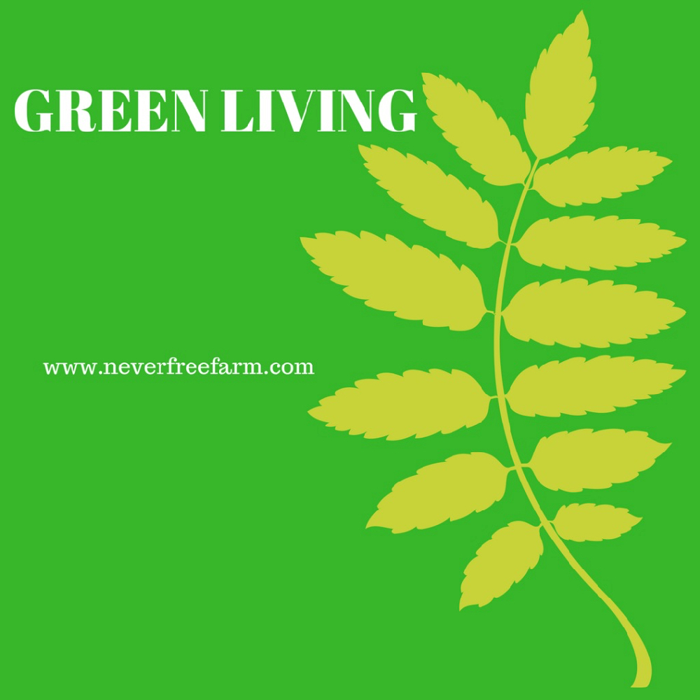 green living what is it Green living- time to go green: summary green living is the changing of your life style to set it according to the ways of the planet by that, i mean that we need . green living what is it Green living- time to go green: summary green living is the changing of your life style to set it according to the ways of the planet by that, i mean that we need .